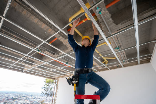 Best Residential Plumbing Services  in West Point, NE