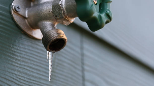 Best Leak Detection Services  in West Point, NE